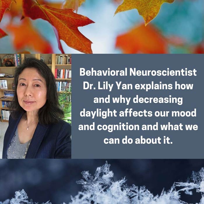  Behavioral Neuroscientist Dr. Lily Yan explains how and why decreasing daylight affects mood and cognition and what we can do about it