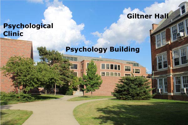 phd psychology michigan state university