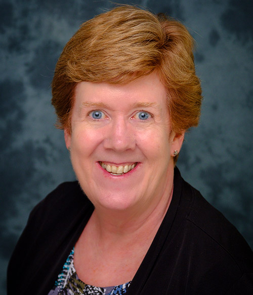 A headshot of Dr. Ann Marie Ryan.