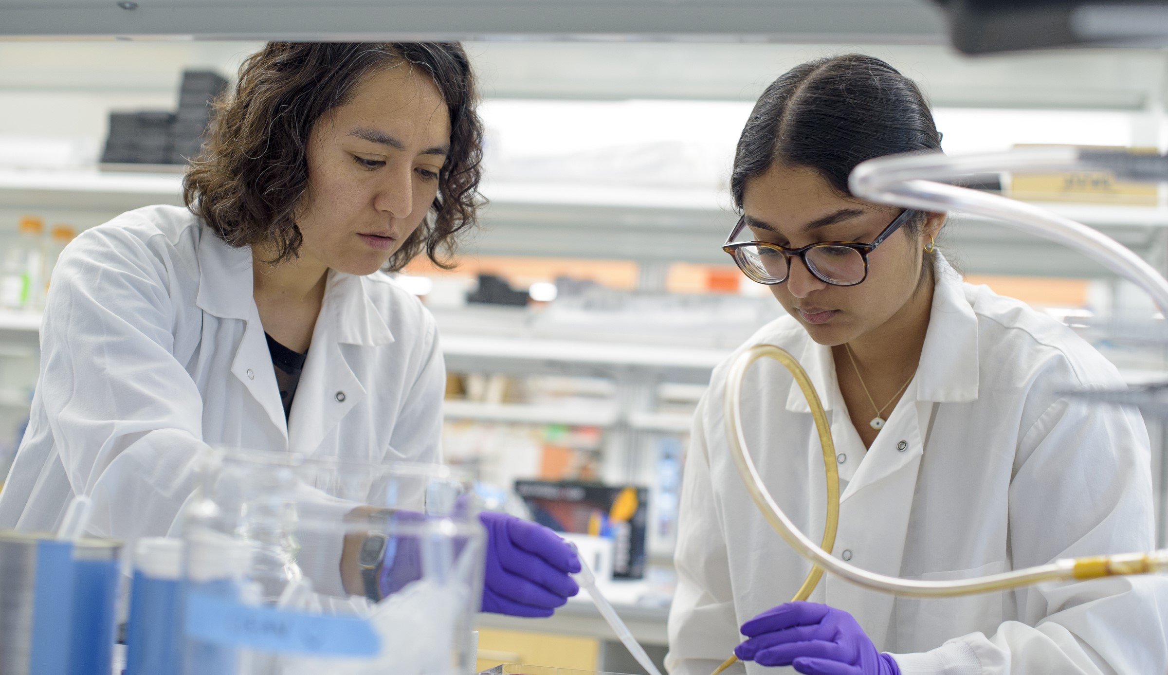 Dr. Amy Arguello and a student work together in the Arguello lab. 