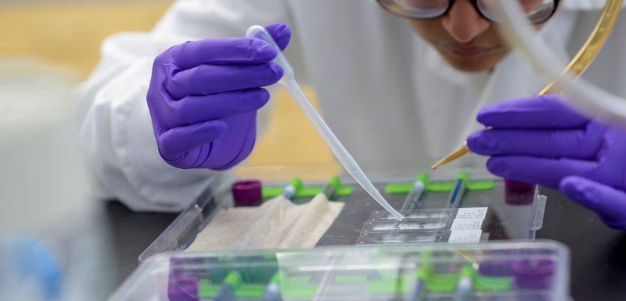 A student researcher conducts behavioral neuroscience research.
