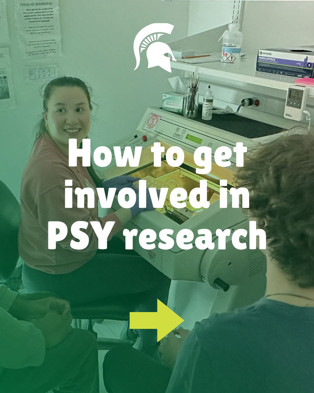 How to get involved in PSY research 