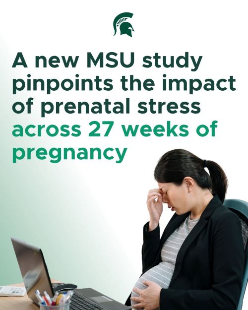 prenatal-stress-web.jpg