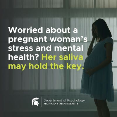 Worried about a pregnant woman’s stress and mental health? Her saliva may hold the key.