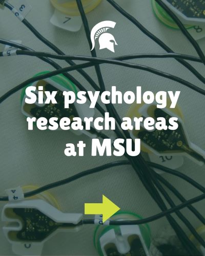 Six Research Areas in MSU Psychology