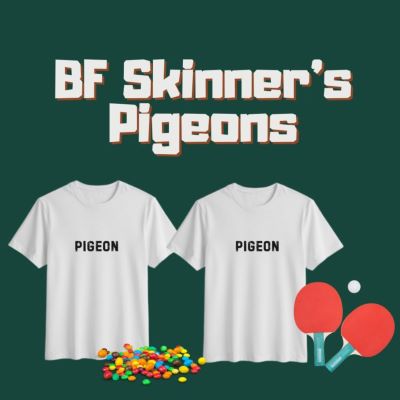 A dark green background with two t-shirts that say pigeon on it. Next to it are candy pieces and ping pong paddles. The text says: BF Skinner’s Pigeons. 
