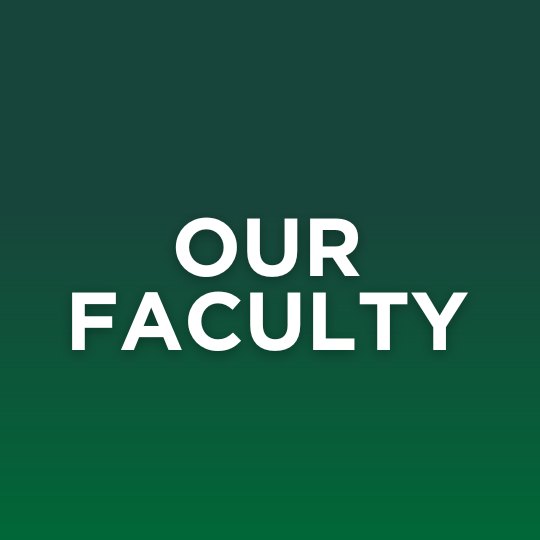Meet our faculty