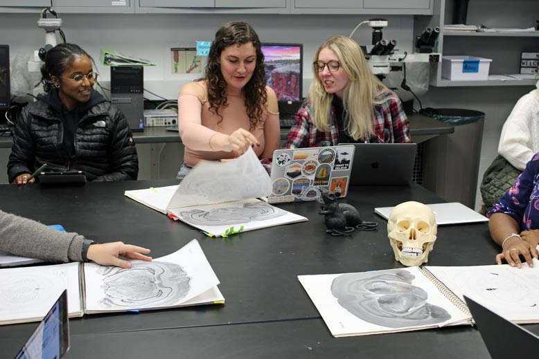 Students work together in a lab room.